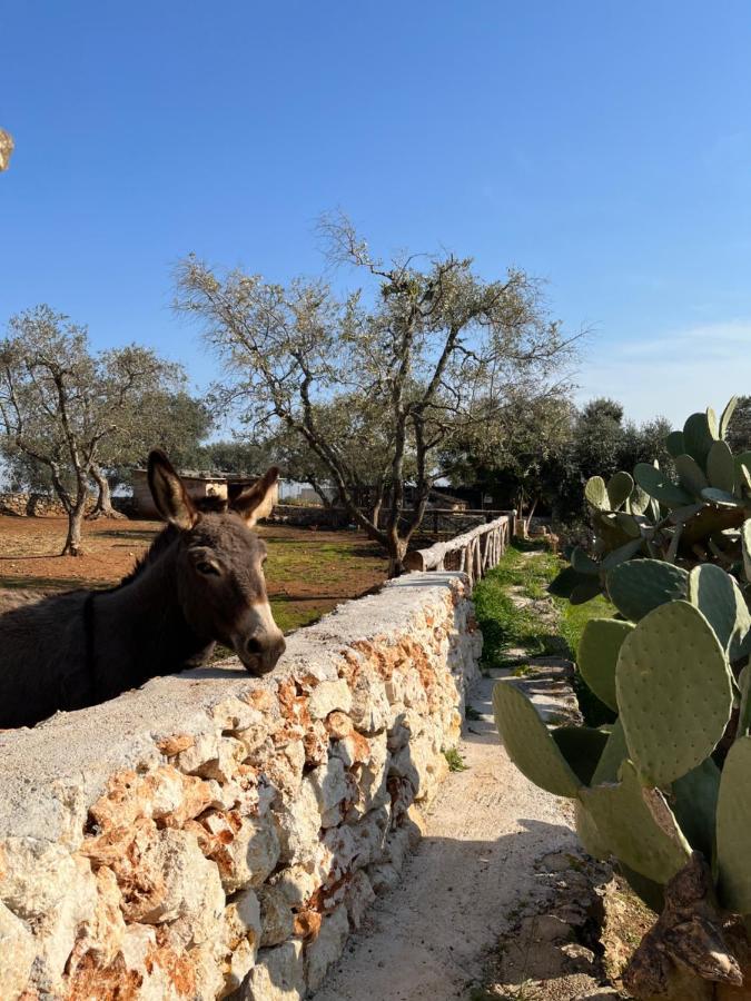 Trulli Dell'Angelo Villa Specchiolla Bagian luar foto